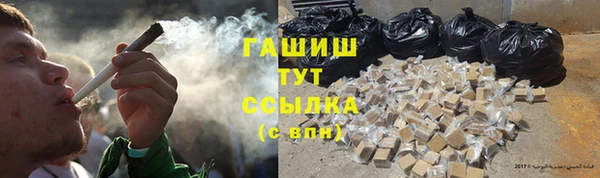 хмурый Гусь-Хрустальный