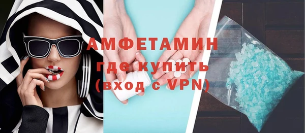 прущие грибы Гусев