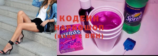прущие грибы Гусев