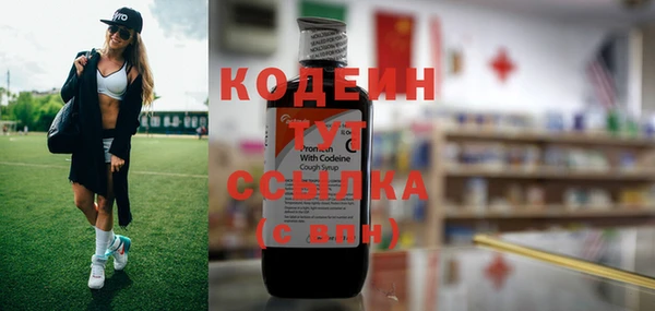 хмурый Гусь-Хрустальный