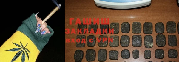 прущие грибы Гусев