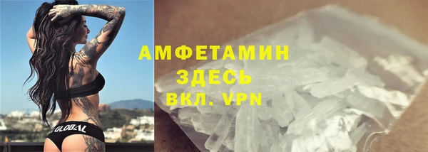 прущие грибы Гусев