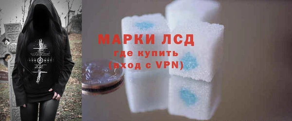 прущие грибы Гусев