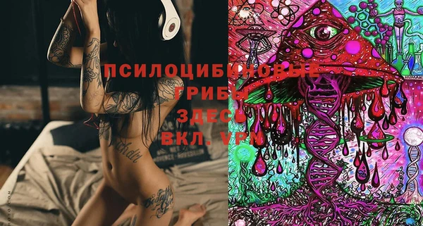 прущие грибы Гусев