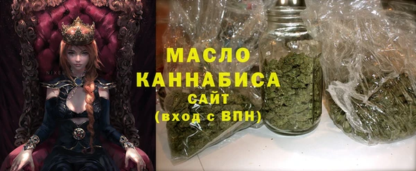 хмурый Гусь-Хрустальный