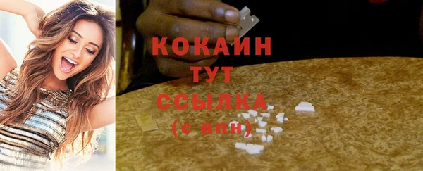 прущие грибы Гусев