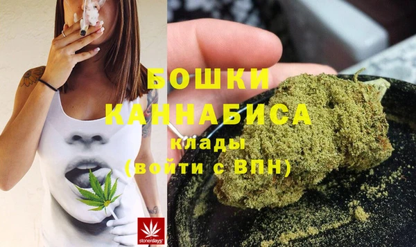 spice Пестово