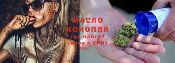 хмурый Гусь-Хрустальный
